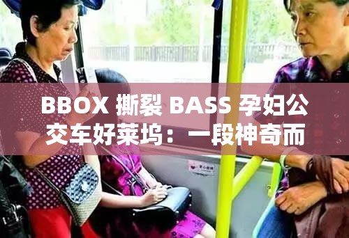 BBOX 撕裂 BASS 孕妇公交车好莱坞：一段神奇而令人惊叹的故事