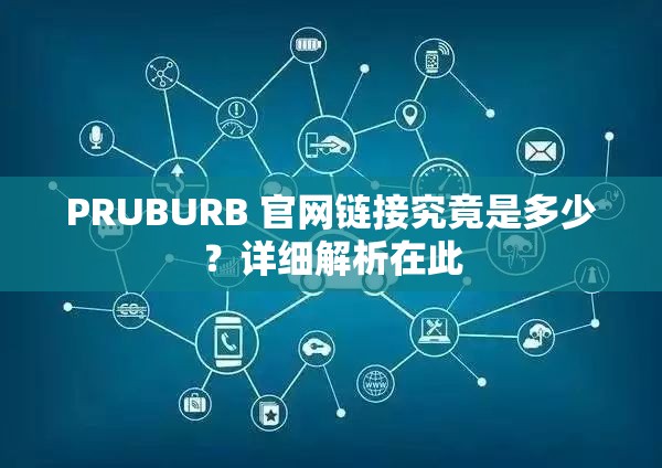 PRUBURB 官网链接究竟是多少？详细解析在此