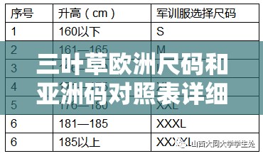 三叶草欧洲尺码和亚洲码对照表详细解读及尺码选择指南