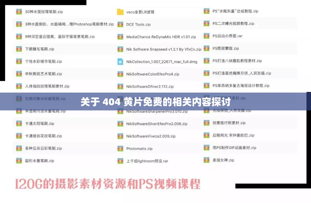 关于 404 黄片免费的相关内容探讨