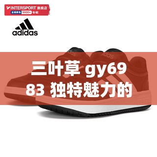 三叶草 gy6983 独特魅力的精彩呈现