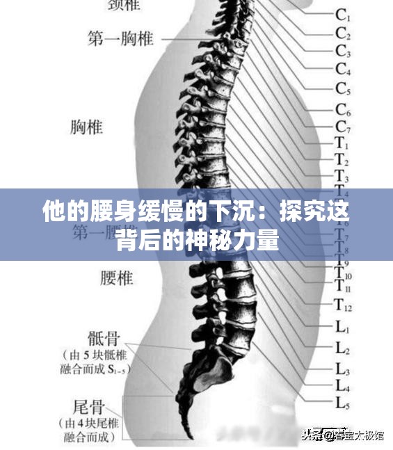 他的腰身缓慢的下沉：探究这背后的神秘力量