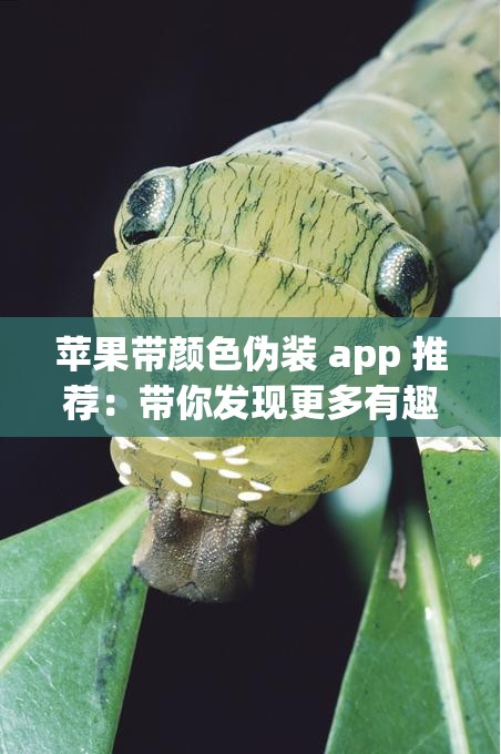 苹果带颜色伪装 app 推荐：带你发现更多有趣的伪装应用