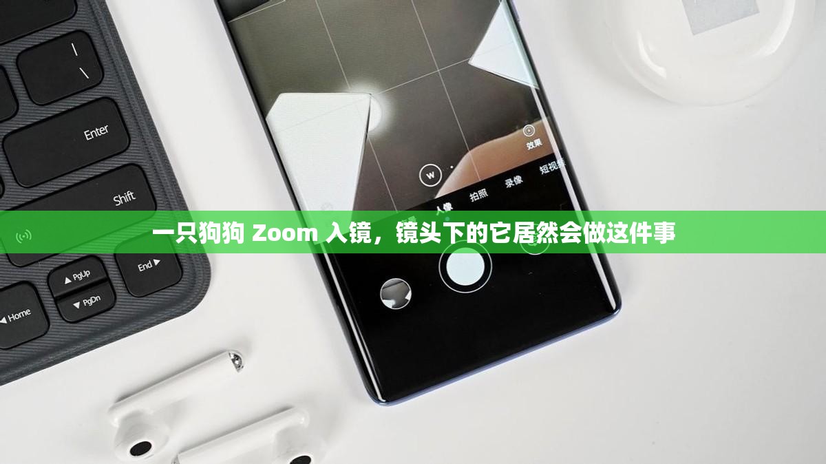 一只狗狗 Zoom 入镜，镜头下的它居然会做这件事