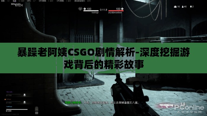 暴躁老阿姨CSGO剧情解析-深度挖掘游戏背后的精彩故事