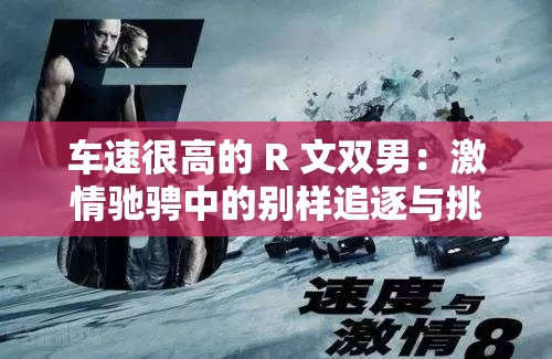 车速很高的 R 文双男：激情驰骋中的别样追逐与挑战