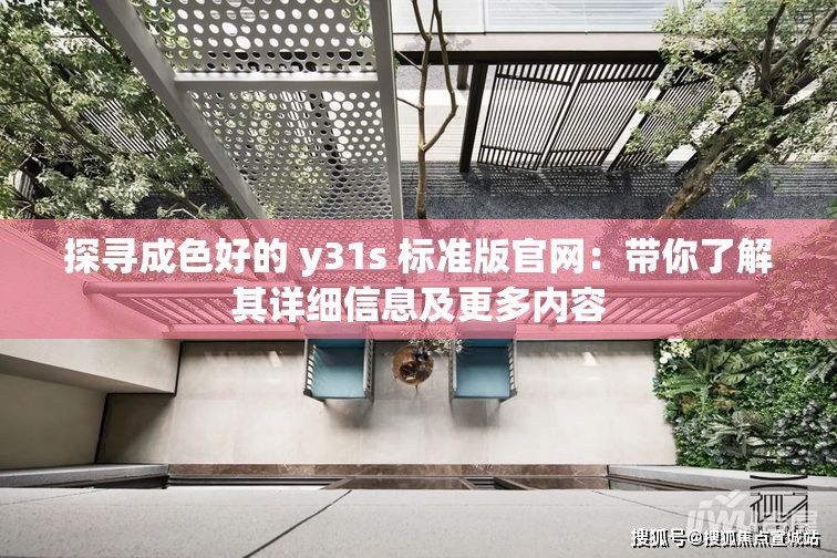 探寻成色好的 y31s 标准版官网：带你了解其详细信息及更多内容