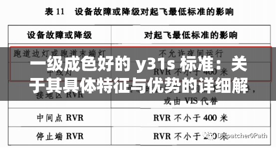 一级成色好的 y31s 标准：关于其具体特征与优势的详细解读