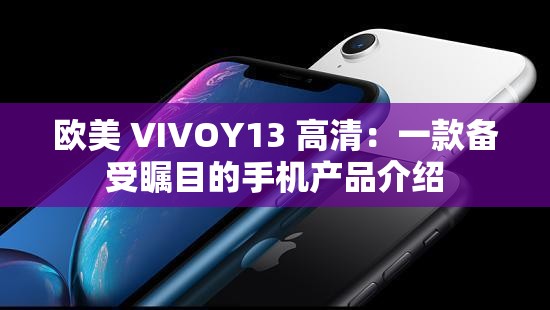 欧美 VIVOY13 高清：一款备受瞩目的手机产品介绍