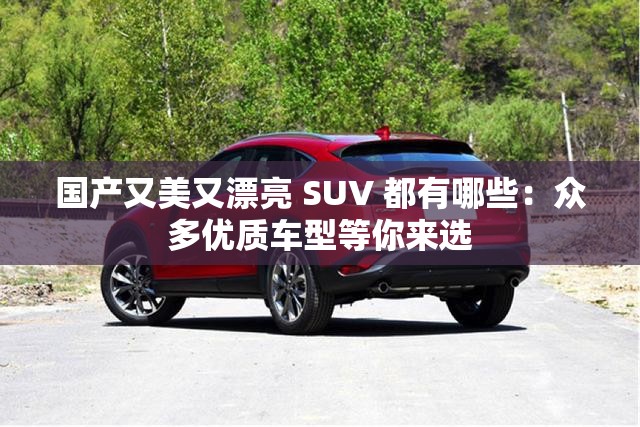 国产又美又漂亮 SUV 都有哪些：众多优质车型等你来选