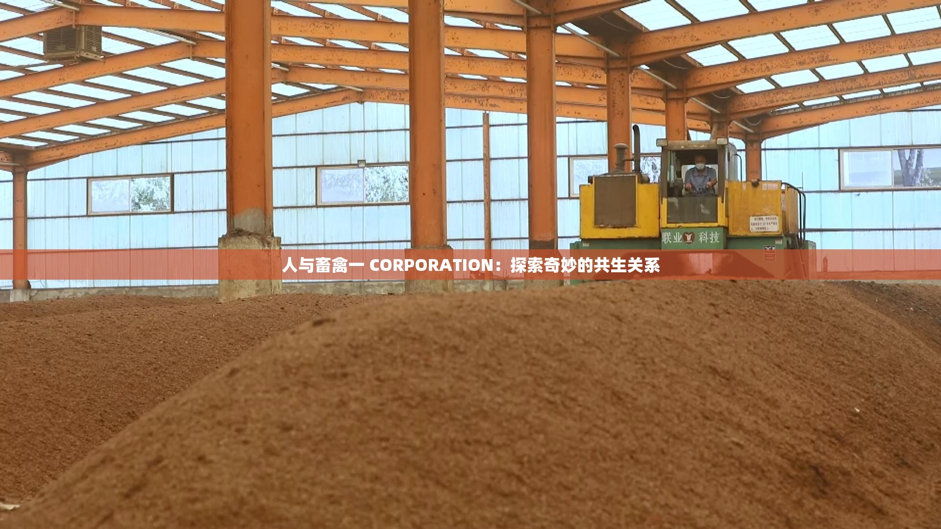 人与畜禽一 CORPORATION：探索奇妙的共生关系