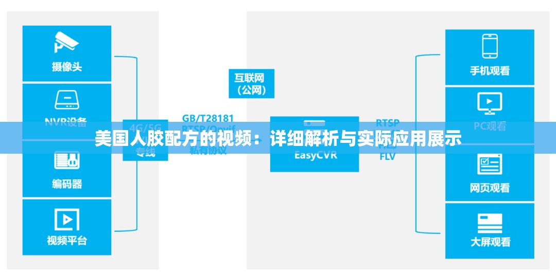 美国人胶配方的视频：详细解析与实际应用展示