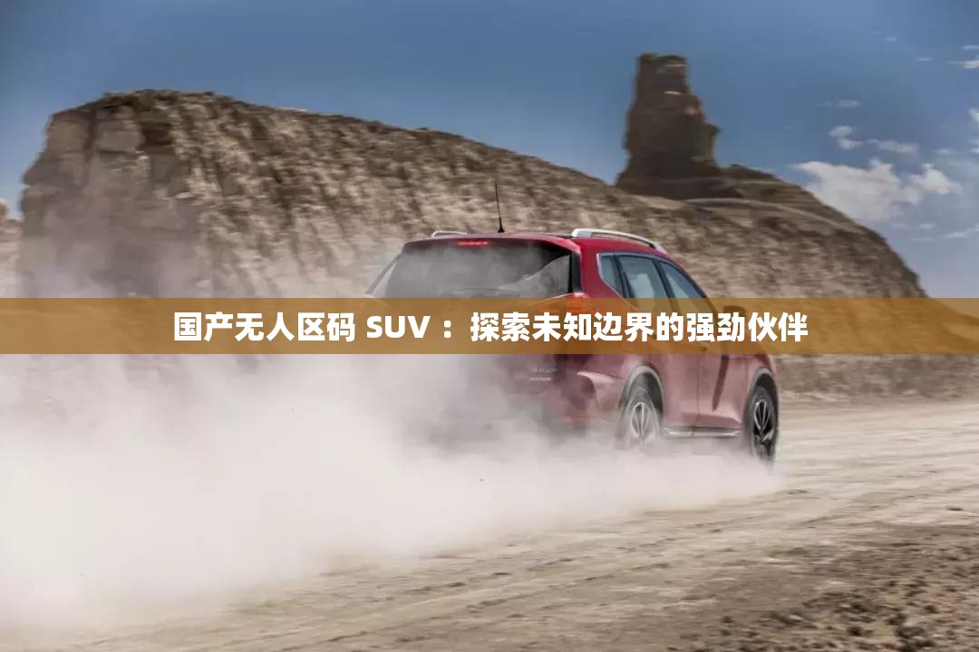 国产无人区码 SUV ：探索未知边界的强劲伙伴