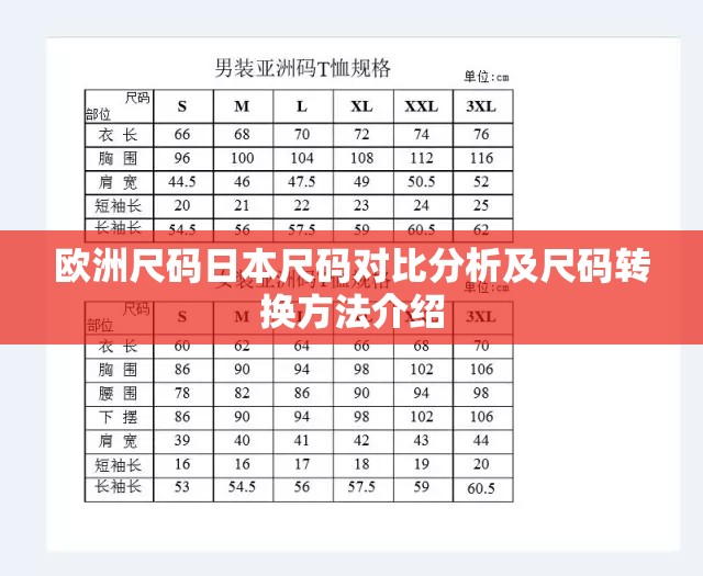 欧洲尺码日本尺码对比分析及尺码转换方法介绍