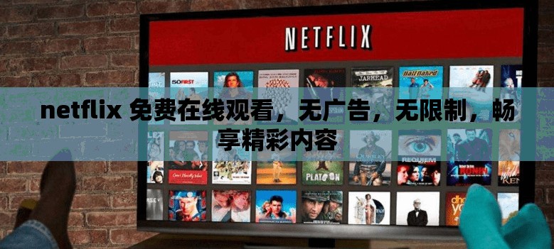 netflix 免费在线观看，无广告，无限制，畅享精彩内容