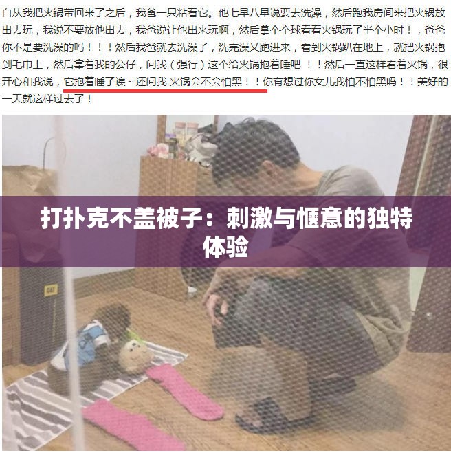 打扑克不盖被子：刺激与惬意的独特体验