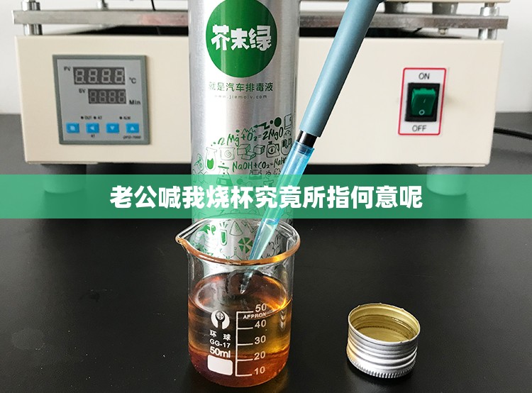 老公喊我烧杯究竟所指何意呢