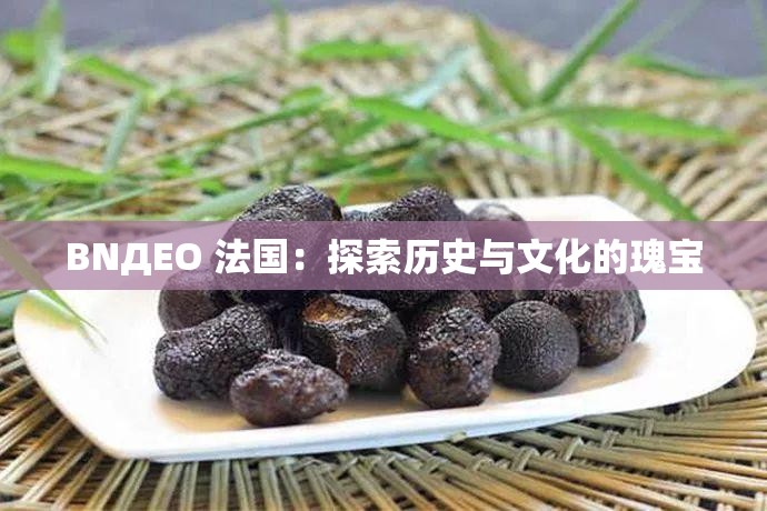 BNДEO 法国：探索历史与文化的瑰宝