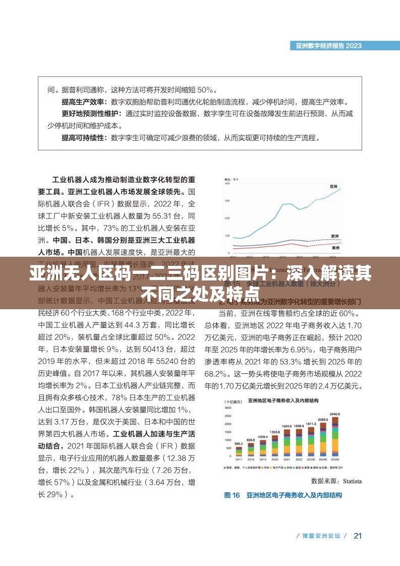 亚洲无人区码一二三码区别图片：深入解读其不同之处及特点