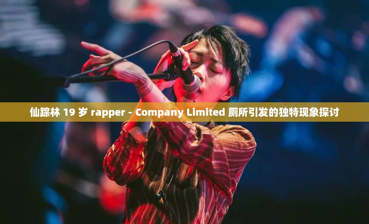 仙踪林 19 岁 rapper - Company Limited 厕所引发的独特现象探讨