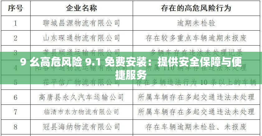 9 幺高危风险 9.1 免费安装：提供安全保障与便捷服务