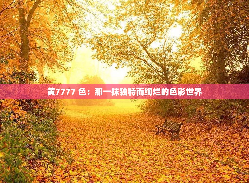 黄7777 色：那一抹独特而绚烂的色彩世界