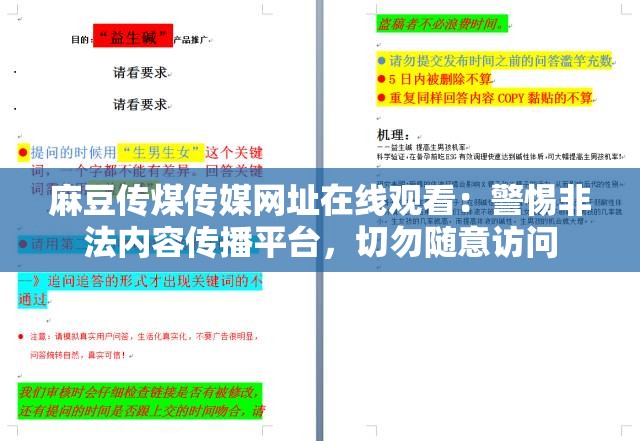 麻豆传煤传媒网址在线观看：警惕非法内容传播平台，切勿随意访问