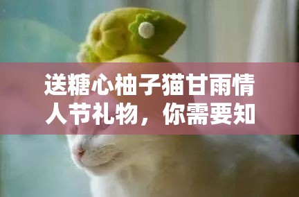 送糖心柚子猫甘雨情人节礼物，你需要知道的事