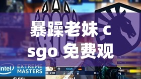 暴躁老妹 csgo 免费观看：教你提升游戏技巧