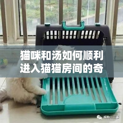 猫咪和汤如何顺利进入猫猫房间的奇妙探索