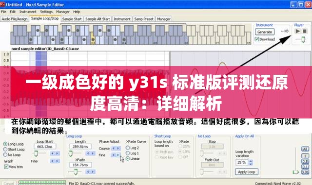 一级成色好的 y31s 标准版评测还原度高清：详细解析