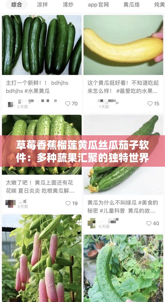 草莓香蕉榴莲黄瓜丝瓜茄子软件：多种蔬果汇聚的独特世界