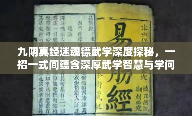 九阴真经迷魂镖武学深度探秘，一招一式间蕴含深厚武学智慧与学问