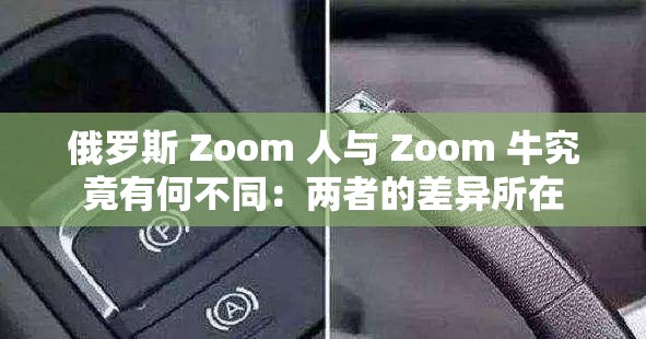 俄罗斯 Zoom 人与 Zoom 牛究竟有何不同：两者的差异所在