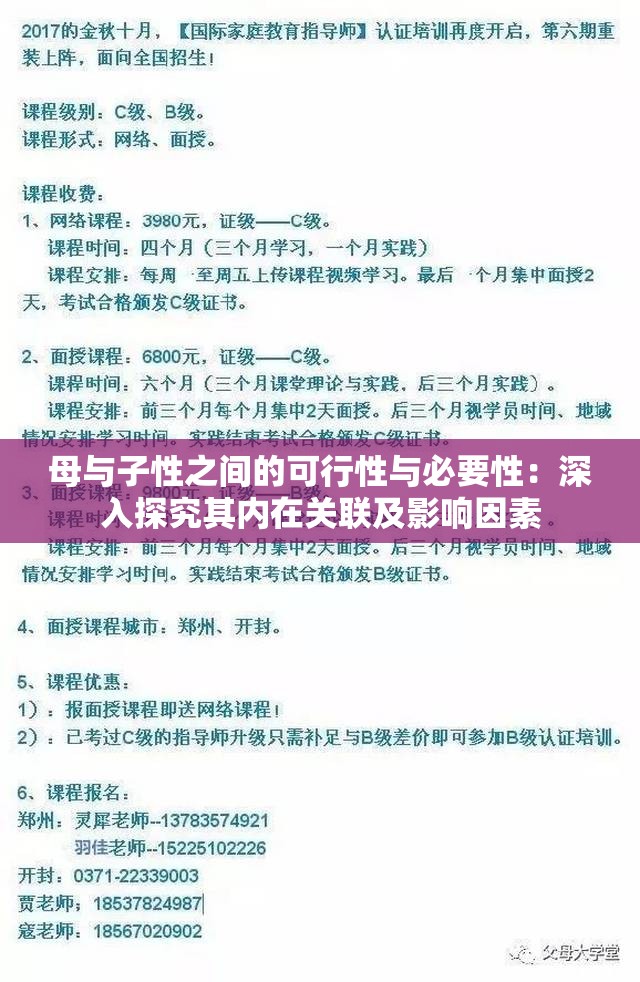 母与子性之间的可行性与必要性：深入探究其内在关联及影响因素