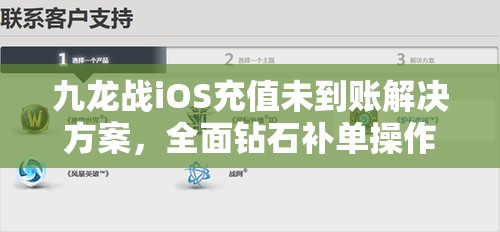 九龙战iOS充值未到账解决方案，全面钻石补单操作指南