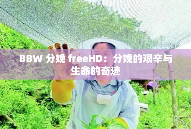 BBW 分娩 freeHD：分娩的艰辛与生命的奇迹