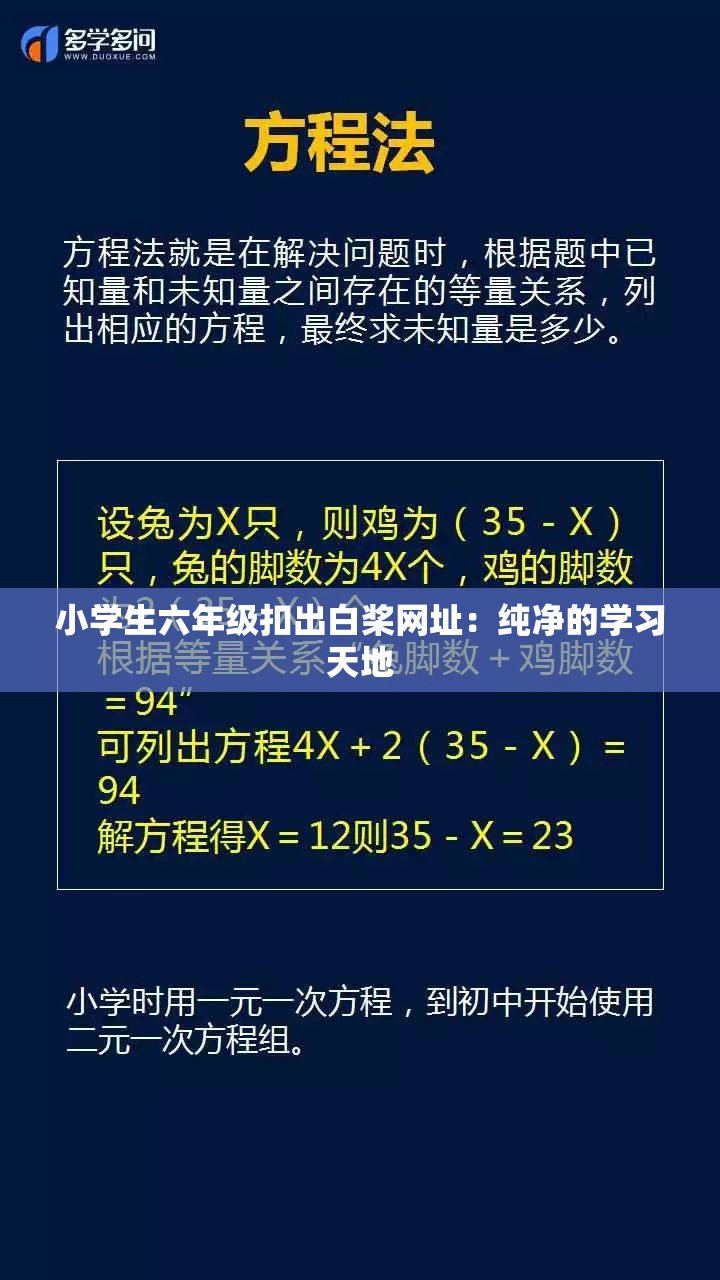 小学生六年级扣出白桨网址：纯净的学习天地