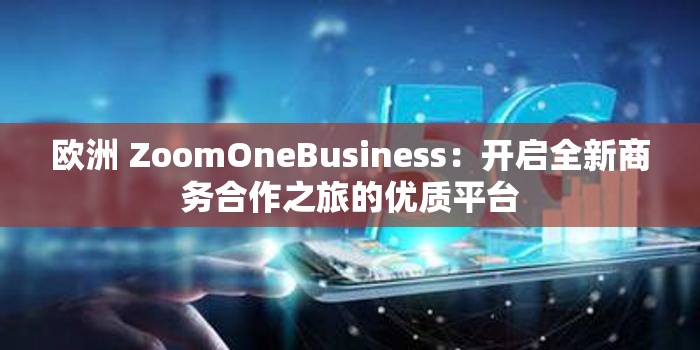 欧洲 ZoomOneBusiness：开启全新商务合作之旅的优质平台