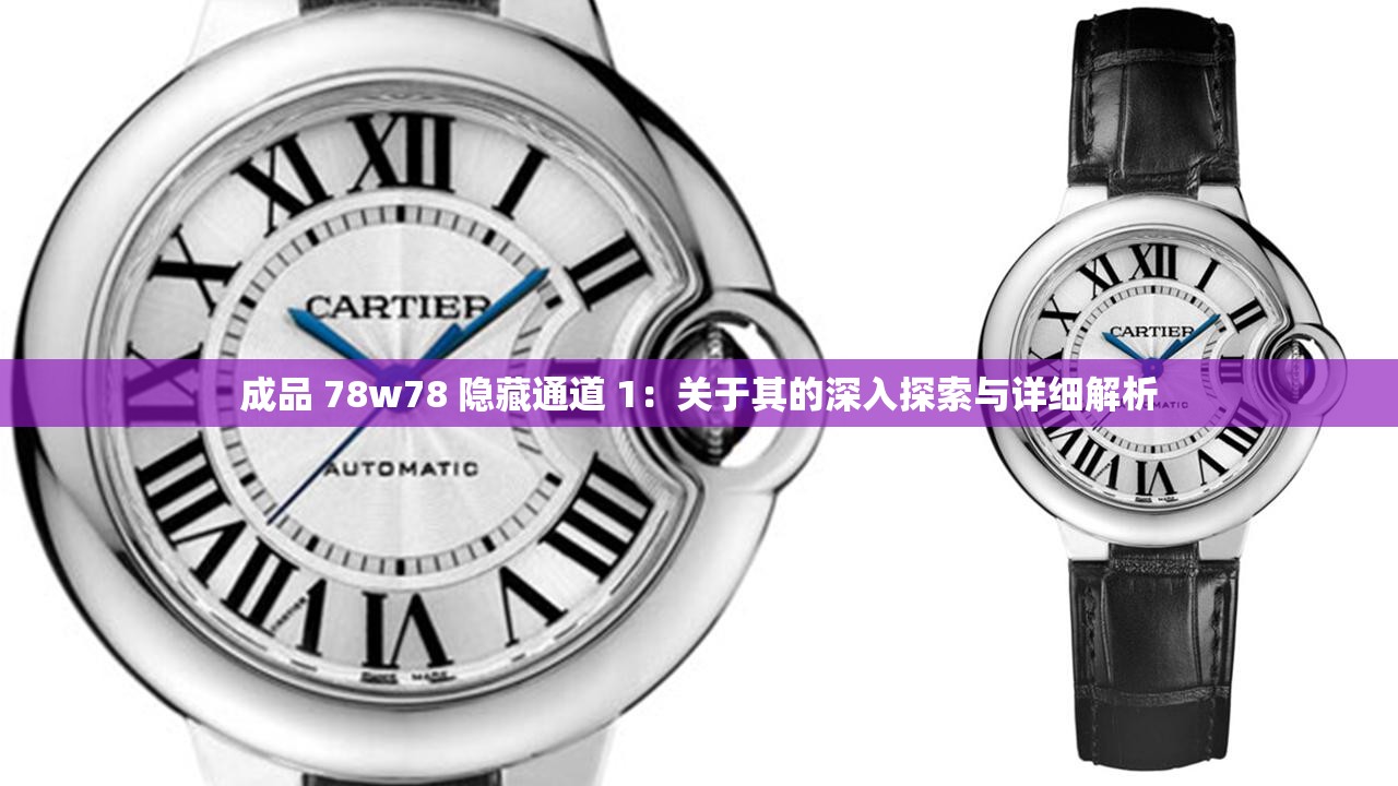 成品 78w78 隐藏通道 1：关于其的深入探索与详细解析