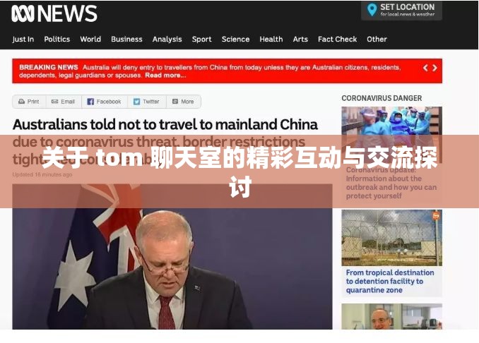 关于 tom 聊天室的精彩互动与交流探讨