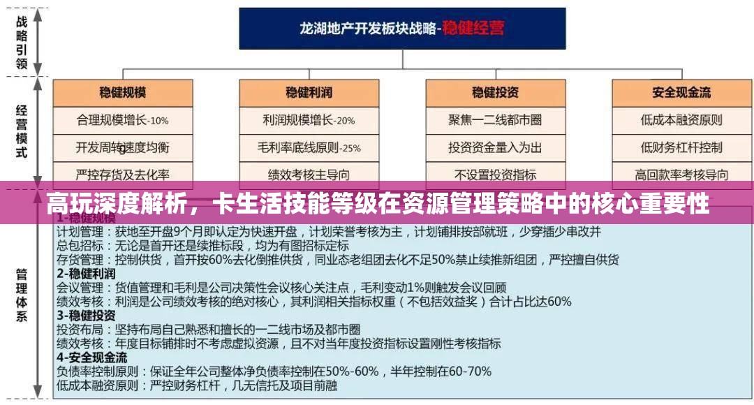 高玩深度解析，卡生活技能等级在资源管理策略中的核心重要性