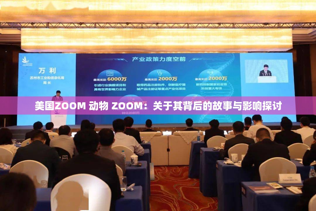 美国ZOOM 动物 ZOOM：关于其背后的故事与影响探讨