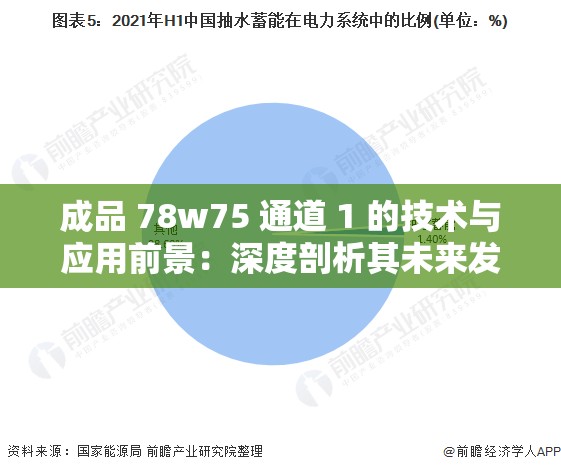 成品 78w75 通道 1 的技术与应用前景：深度剖析其未来发展趋势及潜力