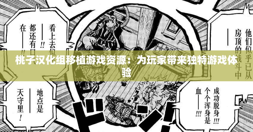 桃子汉化组移植游戏资源：为玩家带来独特游戏体验