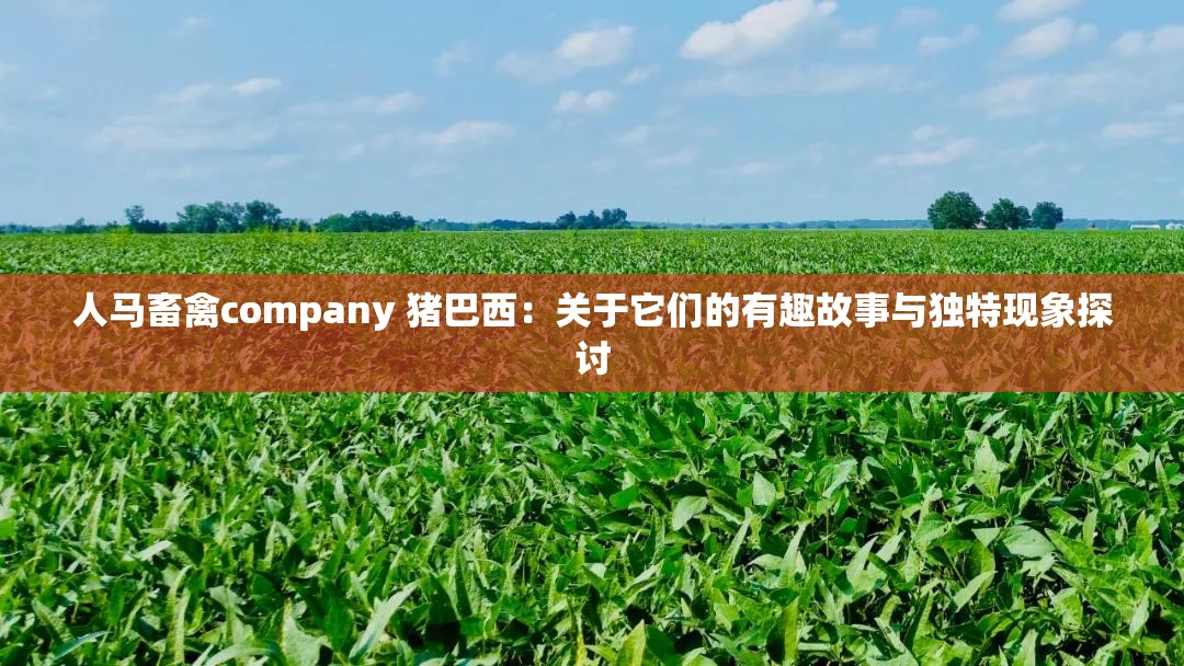 人马畜禽company 猪巴西：关于它们的有趣故事与独特现象探讨