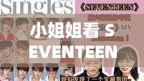 小姐姐看 SEVENTEEN：关于她们观看 SEVENTEEN 演出的那些事儿