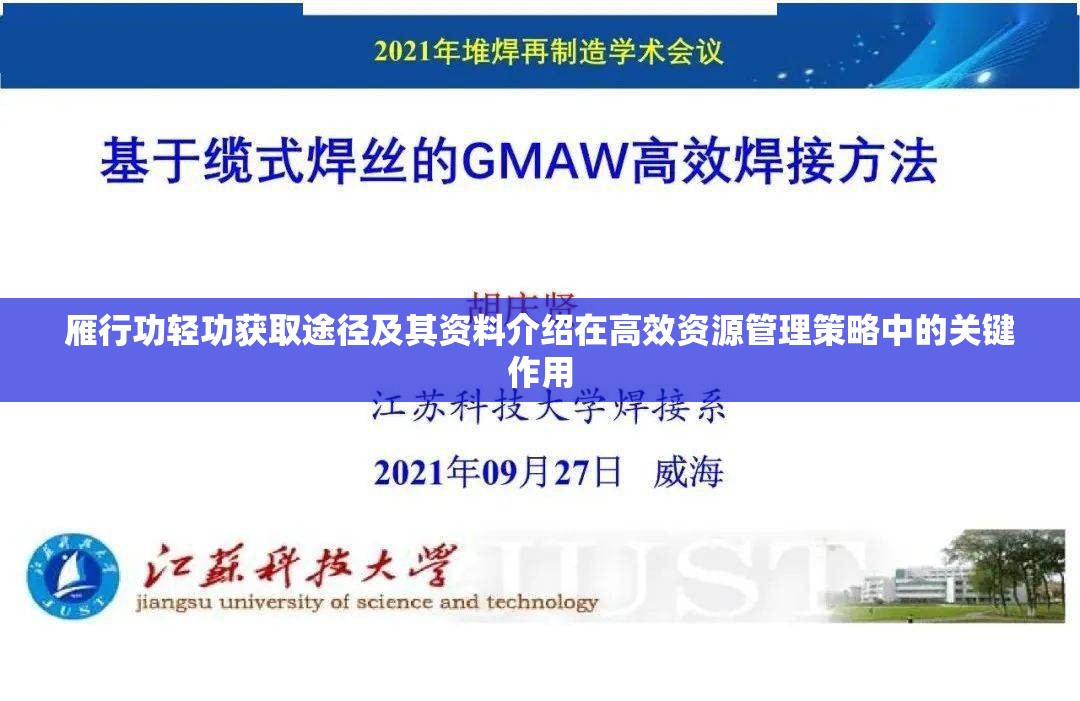 雁行功轻功获取途径及其资料介绍在高效资源管理策略中的关键作用