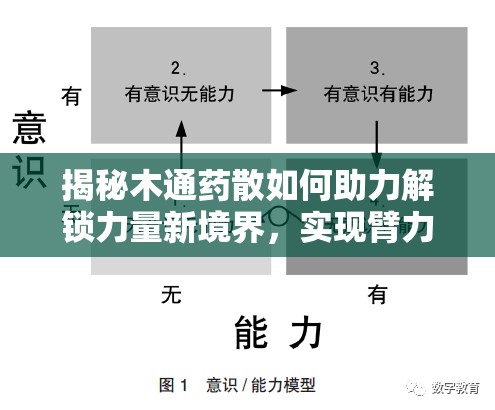 揭秘木通药散如何助力解锁力量新境界，实现臂力属性显著提升