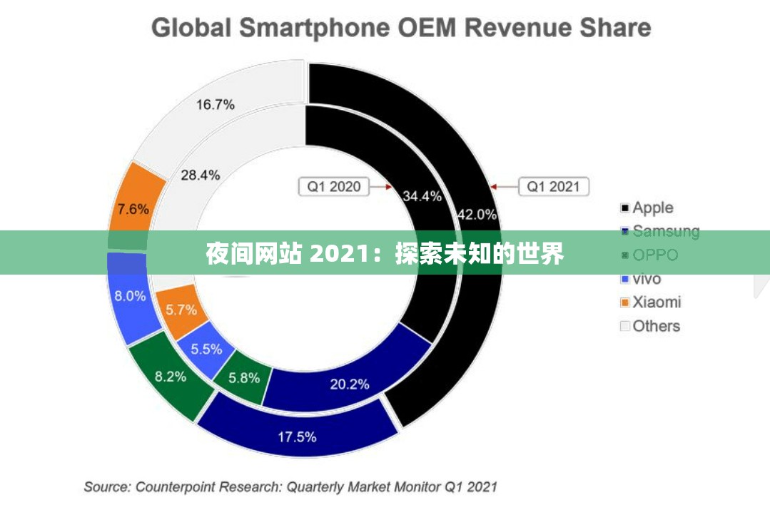 夜间网站 2021：探索未知的世界